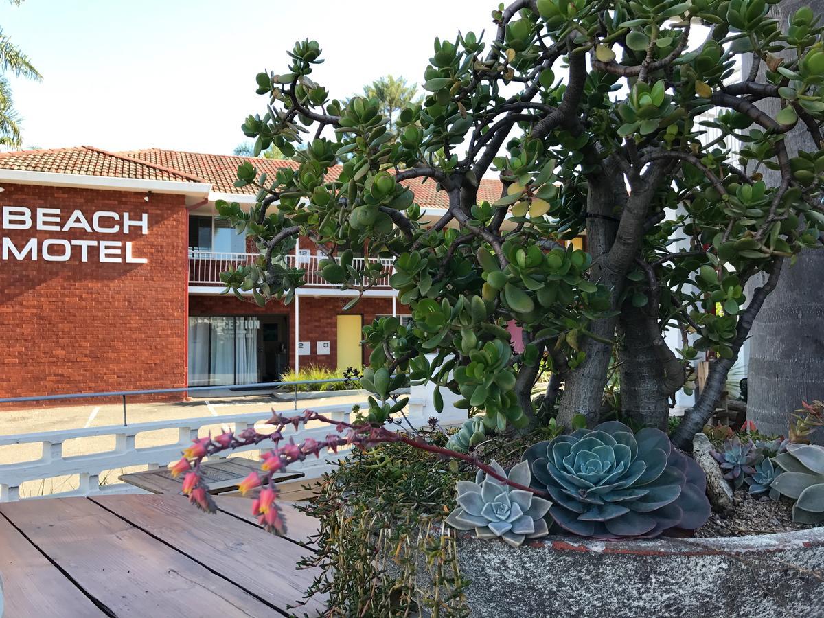Thirroul Beach Motel Εξωτερικό φωτογραφία